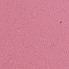 Dekorativna guma EVA sheet 2mm 20x30cm – , Pastel rose