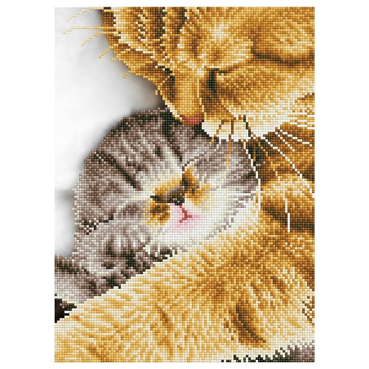 Set sa perlicama Diamond Painting - Trenutak nježnosti 30 x 41 cm