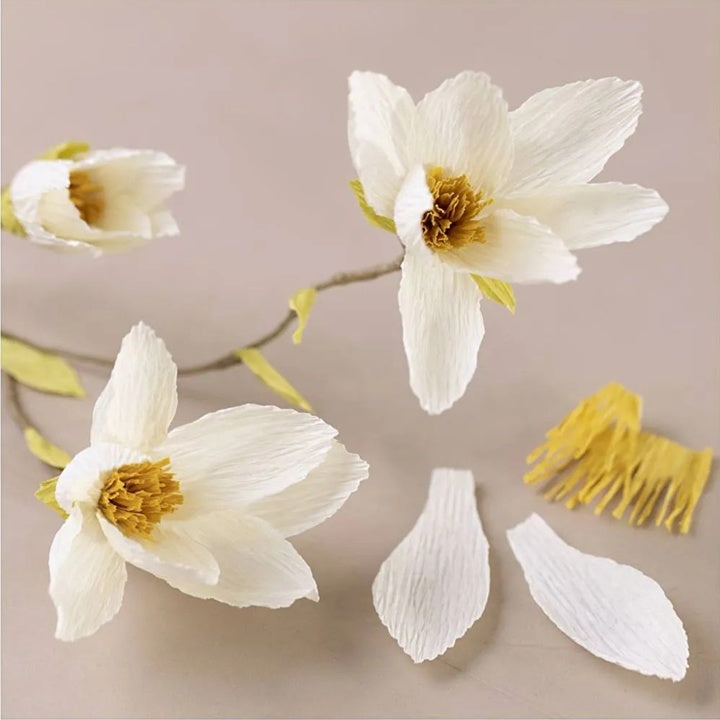 Mini kreativni set | Grančica magnolije od krep papira