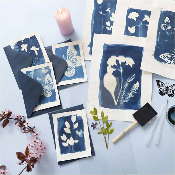 Cyanotype Creative Kit