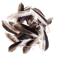 Perja patke 10 - 15 cm, 10 g