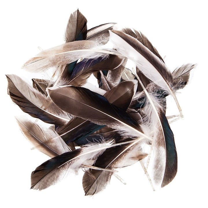 Perja patke 10 - 15 cm, 10 g