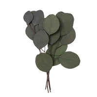 Stabilizirani eukaliptus - zeleni / 4 stabljike, 20 cm