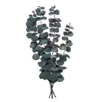 Stabilizirani eukaliptus Baby Blue / 4 stabljike, zelene, 20 cm