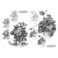 Leonardo Collection 21 Flowers Knjiga za crtanje