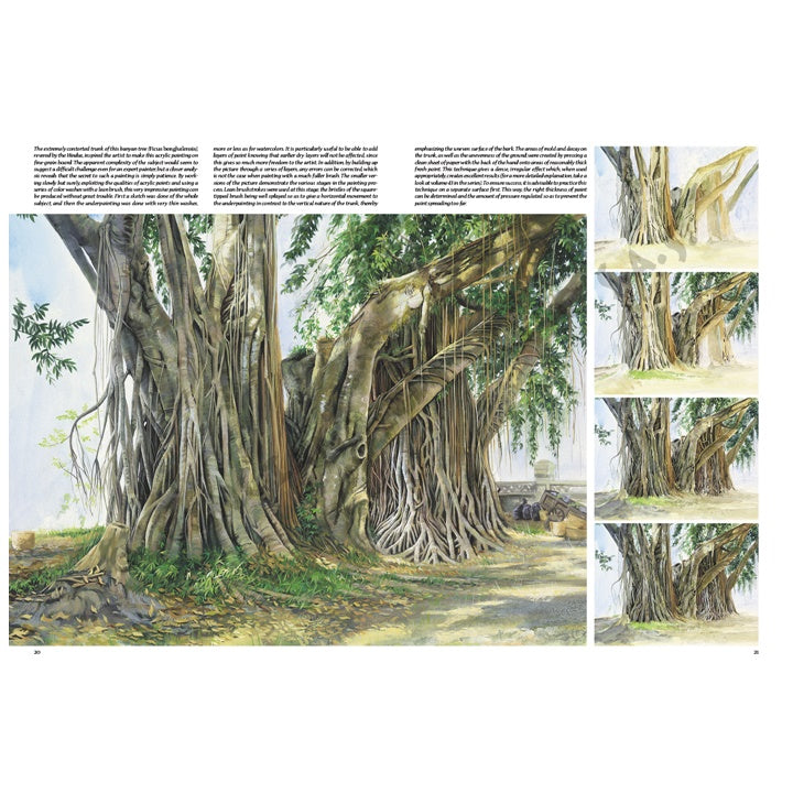Zbirka Leonardo 45 Drveće i lišće