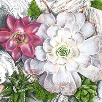 Salveta za dekupaž Succulent Plants and Stones Composition - 1 kom