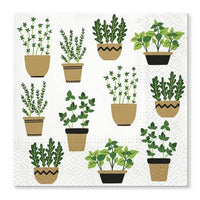 Salvete za dekupaž Herbs in Pot - 1 komad