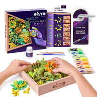 OKTO Set za modeliranje sukulenata 21 x 21 cm ENERGIA