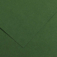 CANSON Iris Vivaldi papir u boji 50 x 65 cm, 240 g – Jela 31