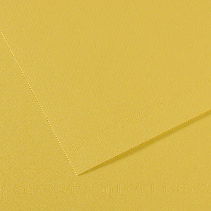 Canson Mi-Teintes papir za pastel 50 x 65 cm 160 g 25L – Anis