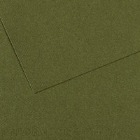 Canson Mi-Teintes papir za pastel 50 x 65 cm 160 g 25L – Bršljan 448