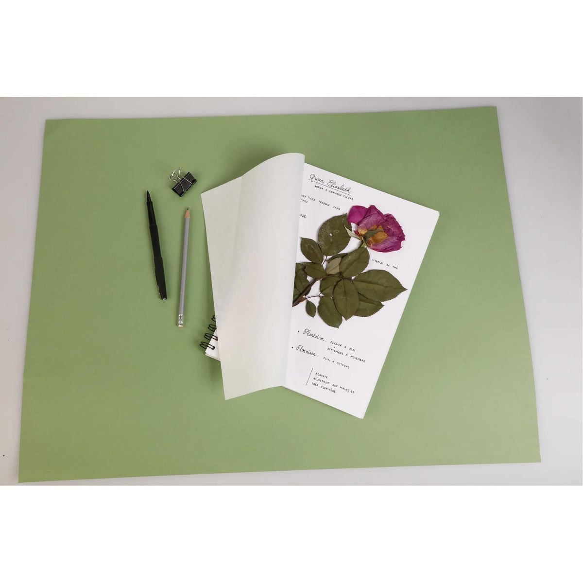 Herbarij Clairefontaine 180 g/m² 21 x 21 cm - 32 listova