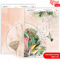 Papiri za scrapbooking King Protea A4 – No. 5