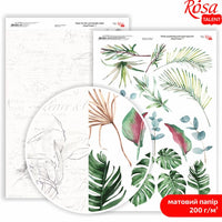 Papiri za scrapbooking King Protea A4 – No. 7