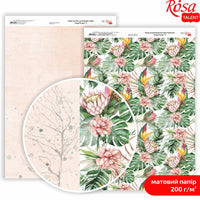 Papiri za scrapbooking King Protea A4 | različiti motivi — slika 1
