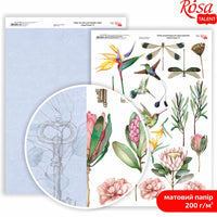 Papiri za scrapbooking King Protea A4 | različiti motivi — slika 6