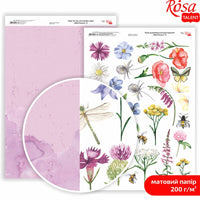 Papiri za scrapbooking Wild Flowers A4 | različiti motivi — slika 9