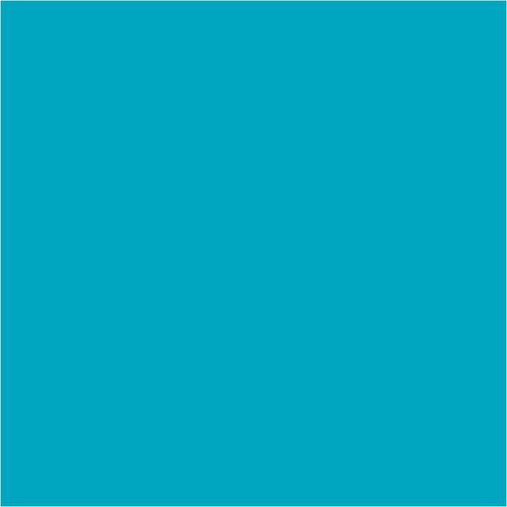 Tekući pigmenti Pentart 10 ml