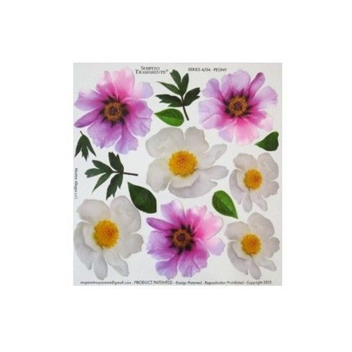 Termofolija za tehniku sospeso trasparente 23x24 cm Peony