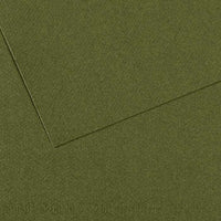 Tónirani papir CANSON Mi-Teintes 50 x 65 cm – 160 g/m² – Bršljan 448